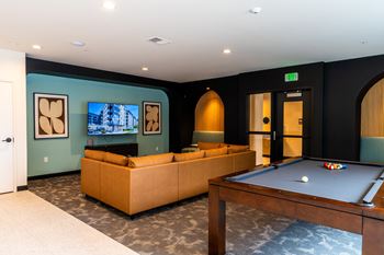Golf simulator & billiards